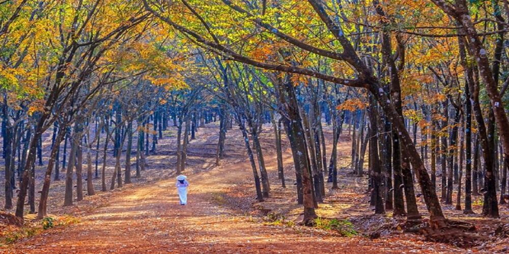 Du Học Nghề Đức Tại Bình Phước 1 6 min 11